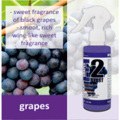 Beta E2 Blast Room Freshener Grapes Fragrance