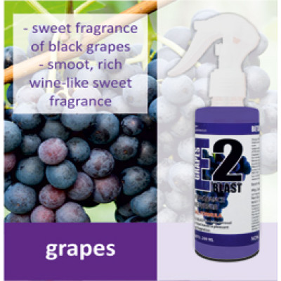 Beta E2 Blast Room Freshener Grapes Fragrance Beta E2 Blast Room Freshener Grapes Fragrance