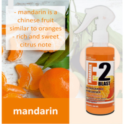 Beta E2 Blast Room Freshener Mandarin Fragrance Beta E2 Blast Room Freshener Mandarin Fragrance