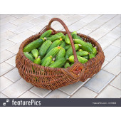 Cucumber	