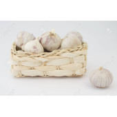 Garlic